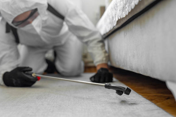 Professional Ant Control technician working in Long Beach, IN