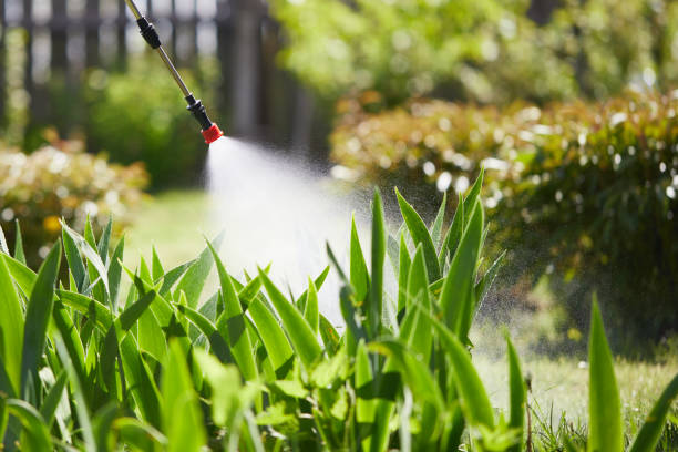 24/7 Emergency Mosquito Control experts in Long Beach, IN